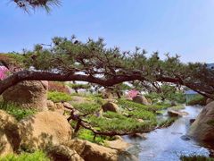 -罗红摄影艺术馆