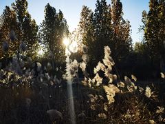 -中家鑫园温泉酒店鑫悦汤泉