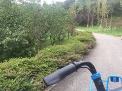 -白鹭湾湿地公园