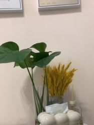 -S&G Beauty轻奢皮肤管理中心