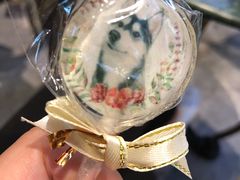 -Husky Go! 哈士奇体验馆·宠物咖啡厅狗咖