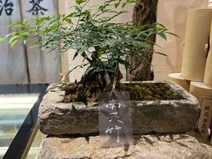 -成川茶店·潮汕工夫浓茶(万象店)