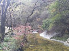 -少华山国家森林公园