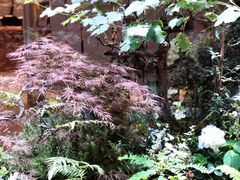 -二酉书店TOYOU BOOKS