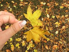 -汉长安城未央宫国家考古遗址公园