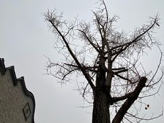 -龙潭水乡