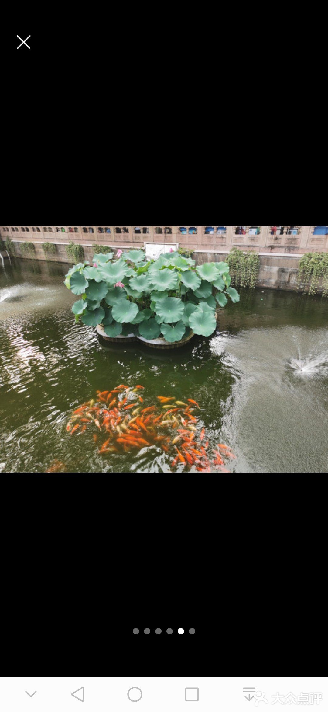 这里太好玩了[礼花]