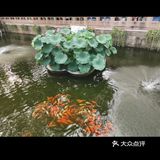 这里太好玩了[礼花]