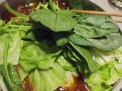 -蝎王府羊蝎子(西直门店)