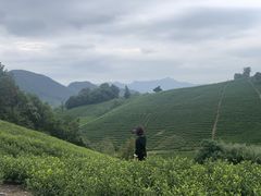 -帐篷客·溪龙茶谷度假酒店