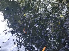 -海口火山口国家地质公园