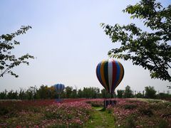 -南通鲜花小镇