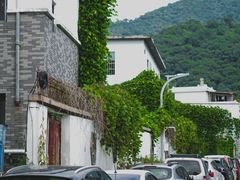 -梧桐山风景名胜区