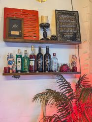 -脱白计划纹身集团