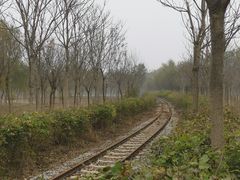 -西青郊野公园