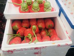 -西郊国际农产品交易中心