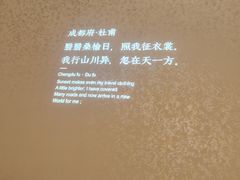 -蜀九香火锅(彩虹店)