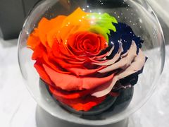 -ROSEONLY诺誓(青岛万象城店)