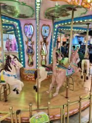 -卡通尼·Safari非洲探索乐园·生日会(金桥国际商业广场店)