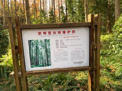 -上海怡沁园度假酒店