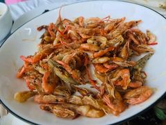 -庆岭迎宾园正宗活鱼馆