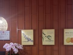 -LANN I 蘭·泰式古法按摩(高岛屋百货店)