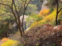 -崂山仰口游览区