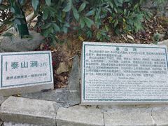 -梧桐山风景名胜区