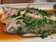 -醉辉皇原味海鲜江南菜(成都大魔方店)