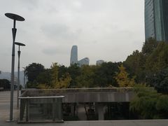 -重庆市江北嘴中央商务区中央公园