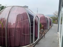 -景式·廣東粤菜(凤凰古站店)