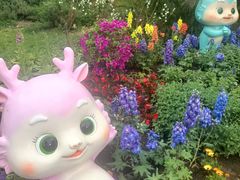 -北京植物园南门售票处