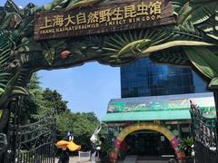 -上海大自然野生昆虫馆(东方明珠·爬宠昆虫探索中心)