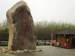 -合肥滨湖国家森林公园