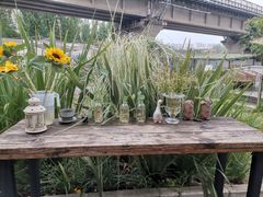-云里小坐·小院里·团建·宴请·下午茶(三圣乡店)