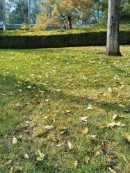 -和颜一美轻医美连锁