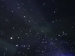 -大连圣亚海洋世界