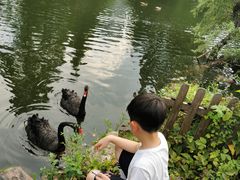 -水绘园