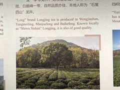-中国茶叶博物馆(双峰馆区)