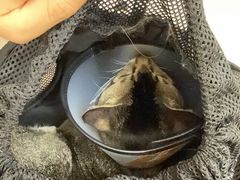 -御宝贝24h宠物医院·转诊中心·CT核磁血透中心(厦门总院)