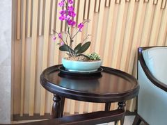 -团圆口腔·种植中心(锦江院区)