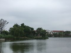 -上海长兴岛郊野公园