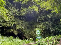 -海口火山口国家地质公园