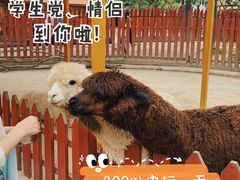 景点-国色天乡三期陆地乐园
