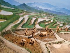 -中国农业博物馆