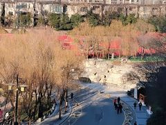 -西安曲江寒窑遗址公园