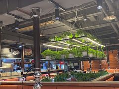 -猫爪爪原切自助烤肉(观音桥阳光世纪店)
