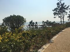 -青岛银沙滩