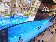 -迪拜水族馆及水下动物园