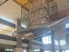-三亚海棠湾喜来登度假酒店
